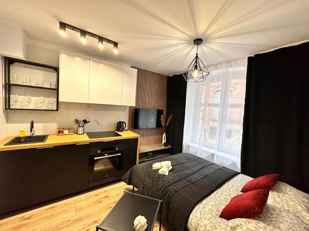 Apartamenty House Profit Kosciuszki 28Vs31B Katowice Extérieur photo